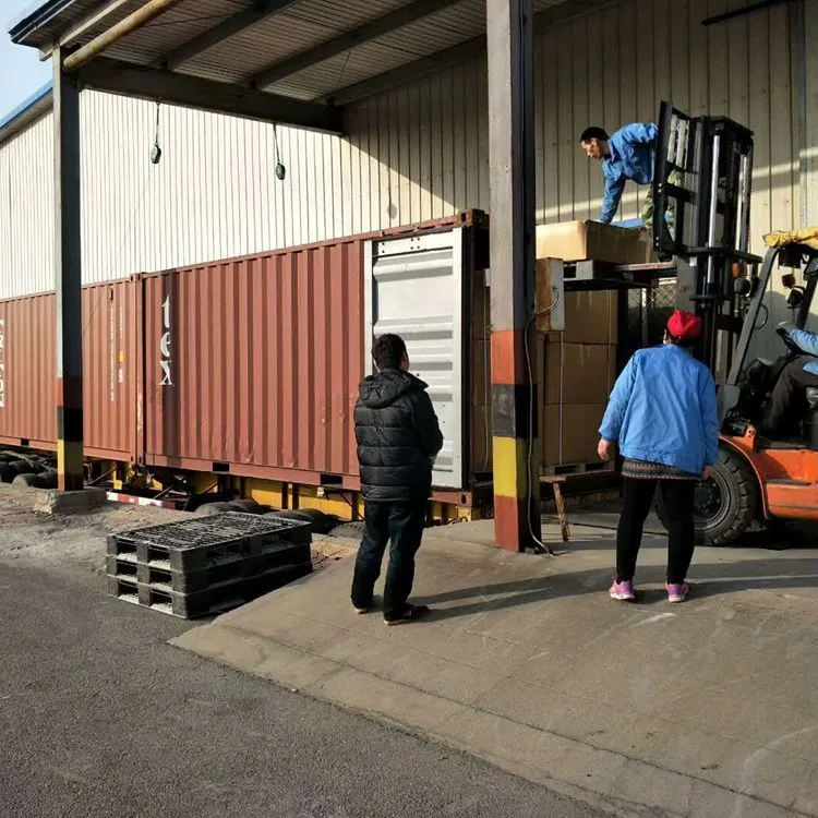 packing 12