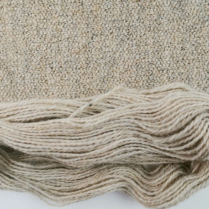 Manufacturer New Type low cost bulk carpet wool yarn
